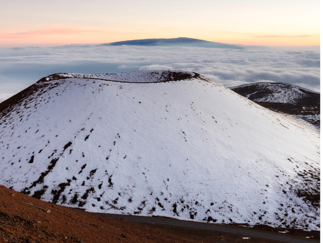 Top Tea Options For Winter Sipping