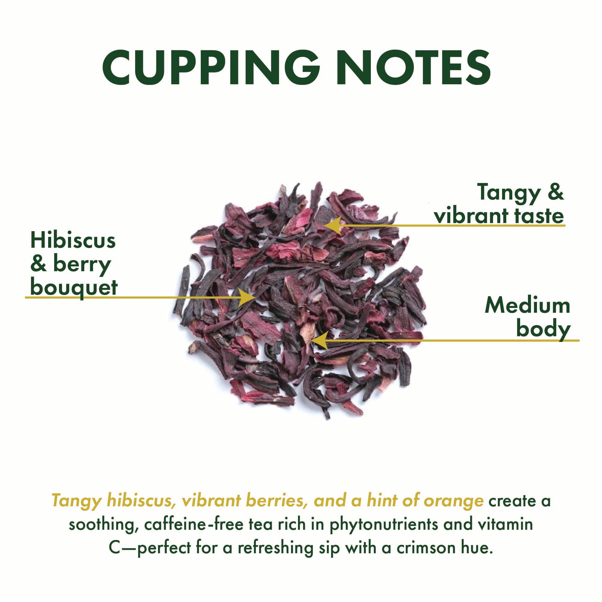 Hibiscus Bliss
