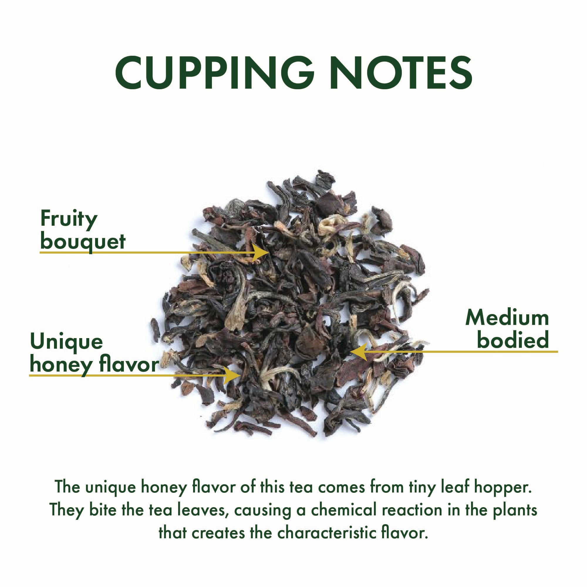 White Tip Oolong