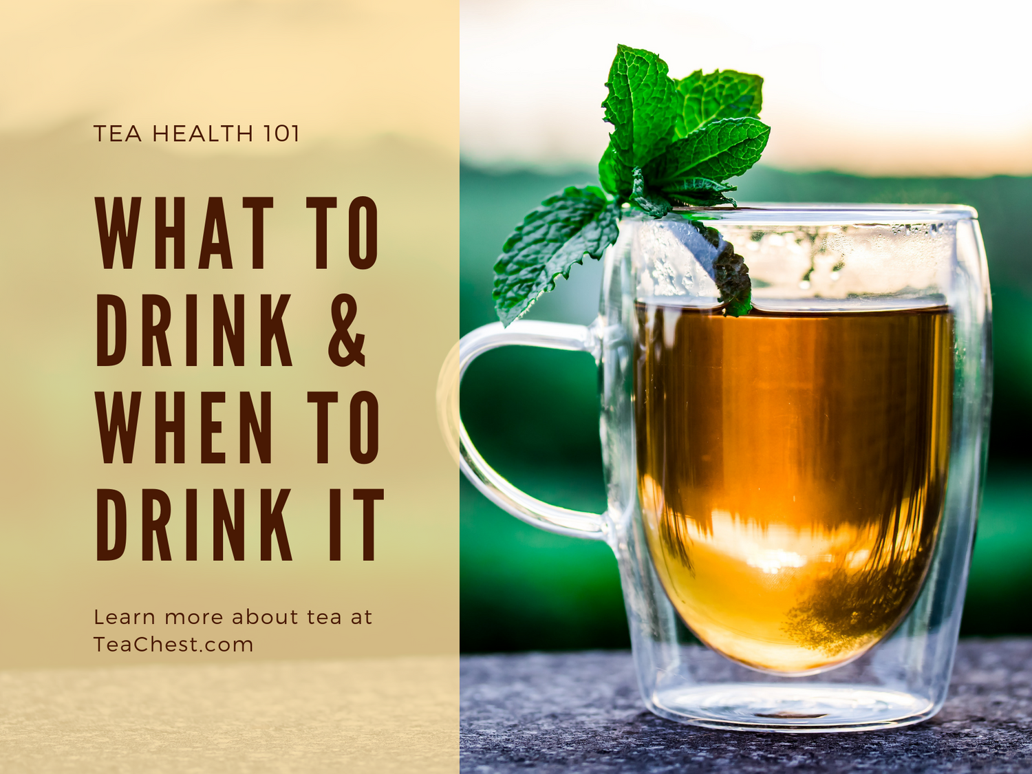 Tea Health 101: The Best Teas To Drink