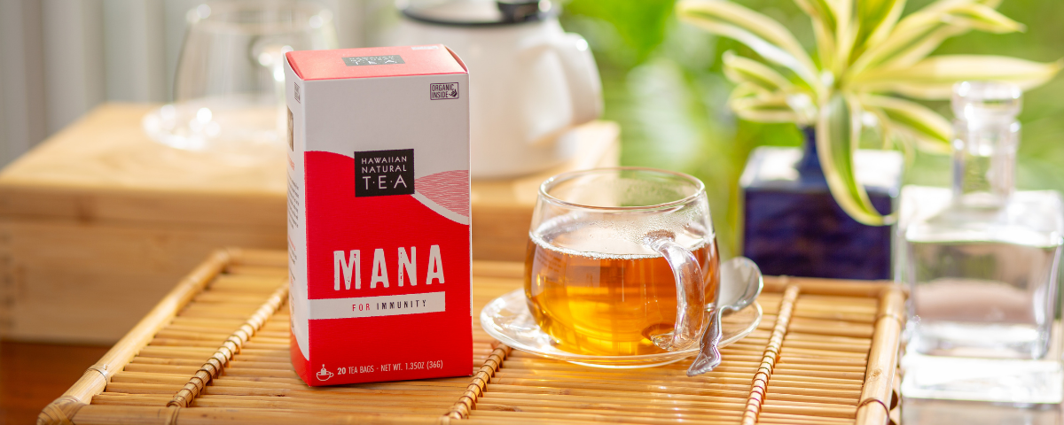 Moringa Collection