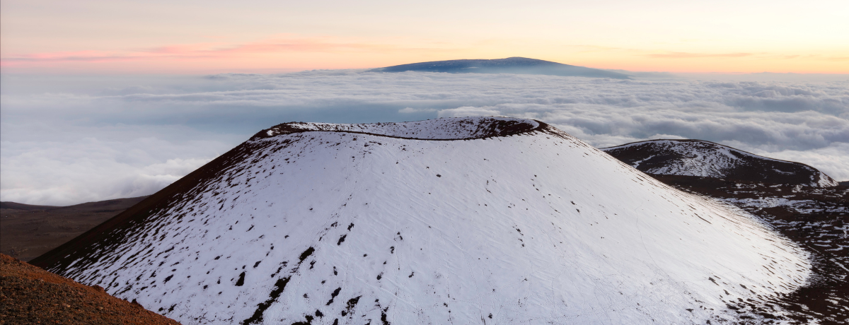 Top Tea Options for Winter
