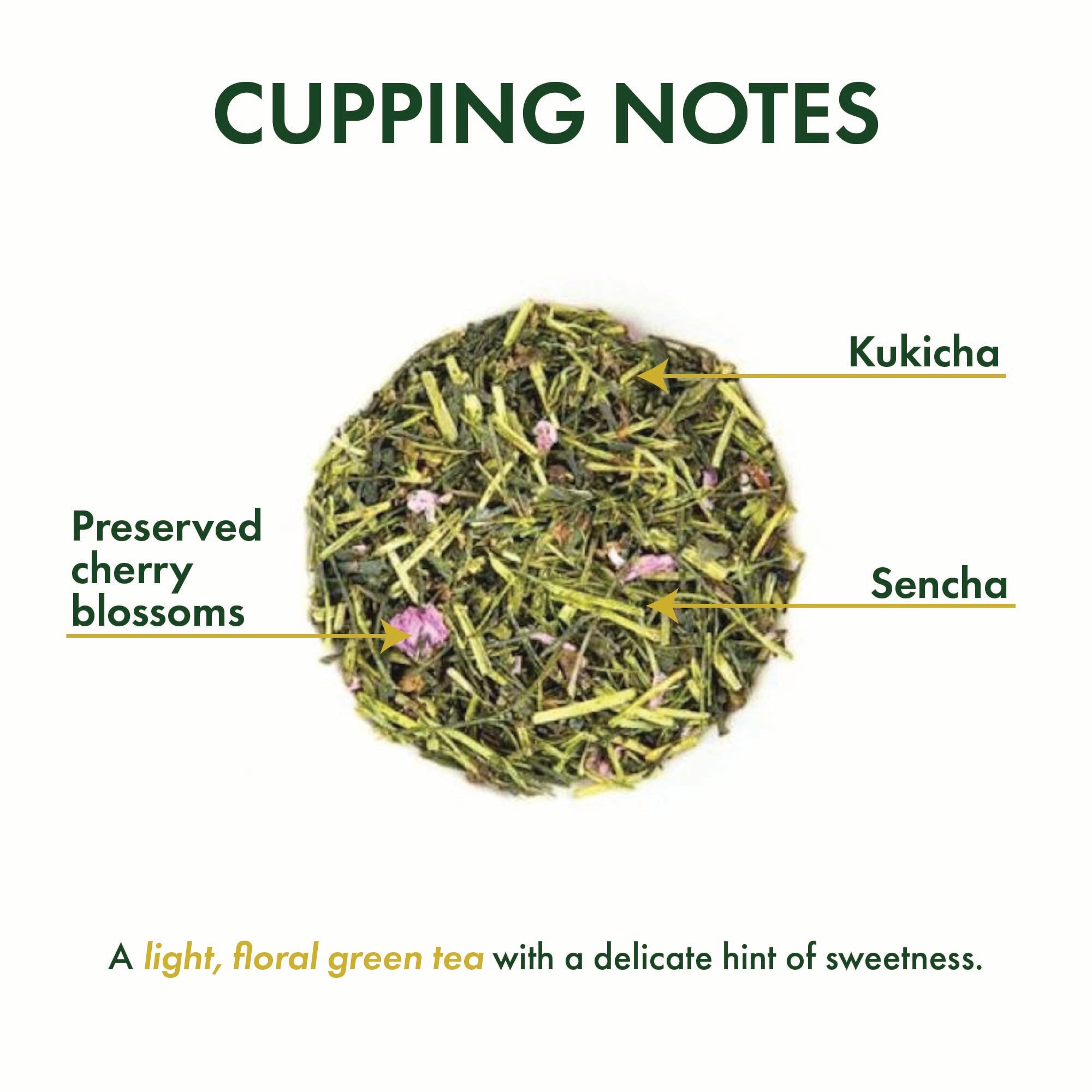 Sakura Sencha | Cherry Blossom Green Tea – Tea Chest Hawaii