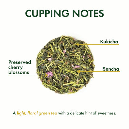Sakura Sencha