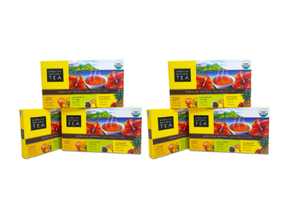 3-pack Bundles | Assorted Flavors