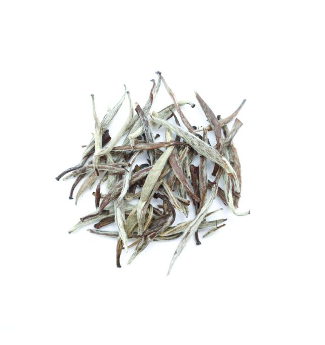 Silver Needle