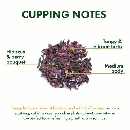 Hibiscus Bliss