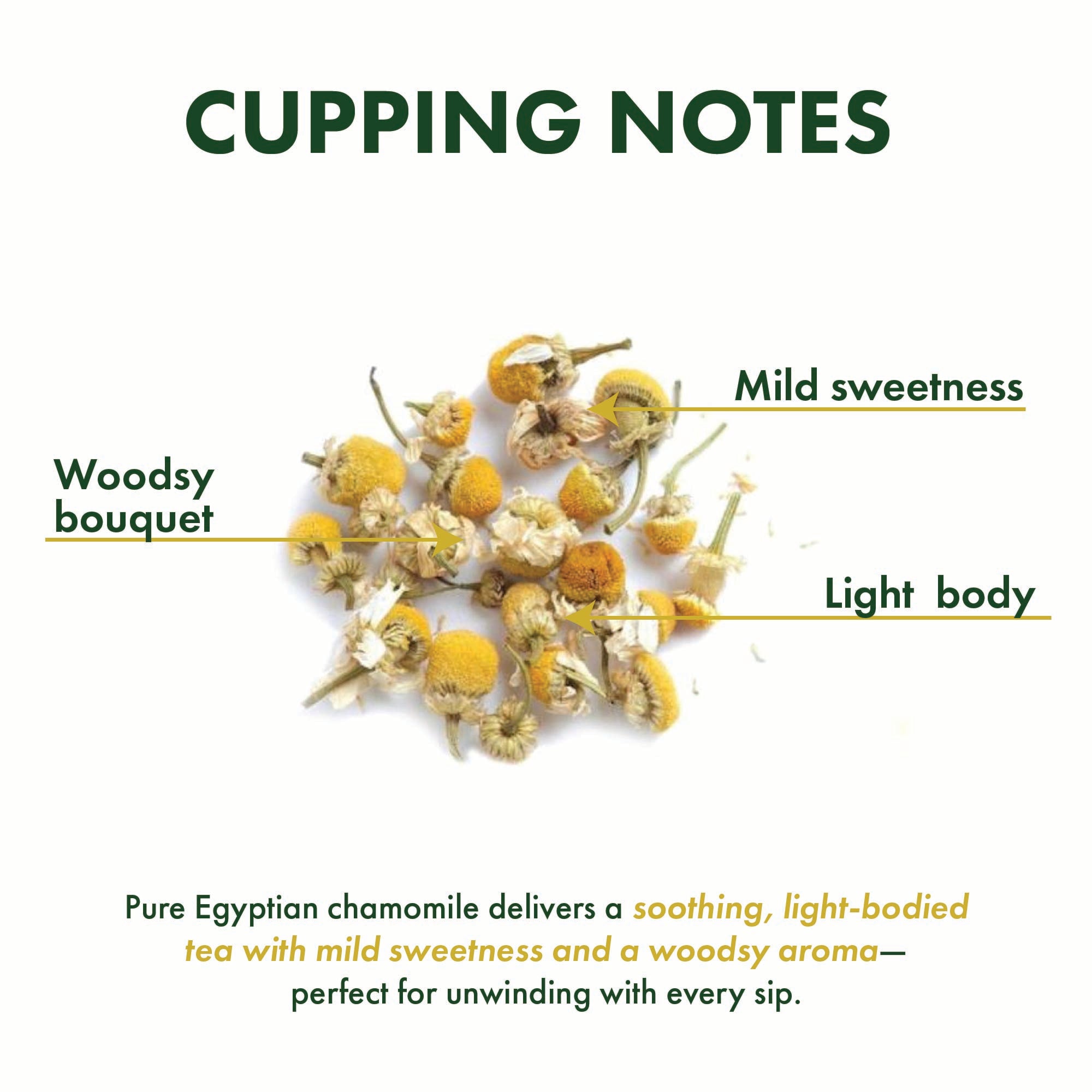 Chamomile