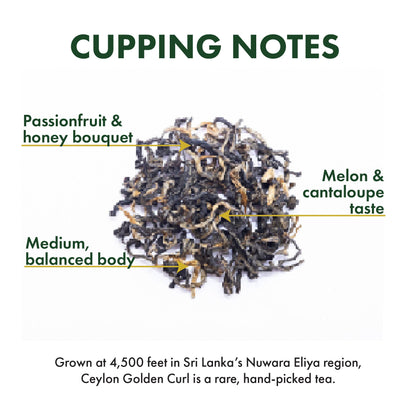 Ceylon Golden Curl