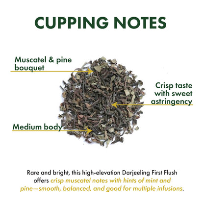 Darjeeling First Flush