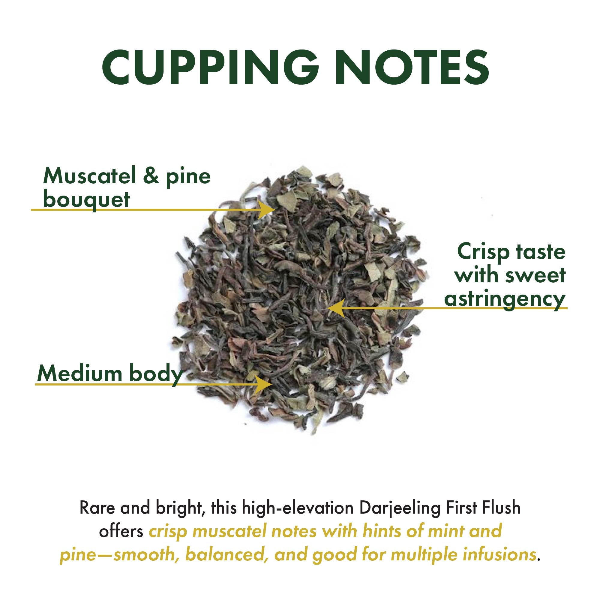 Darjeeling First Flush