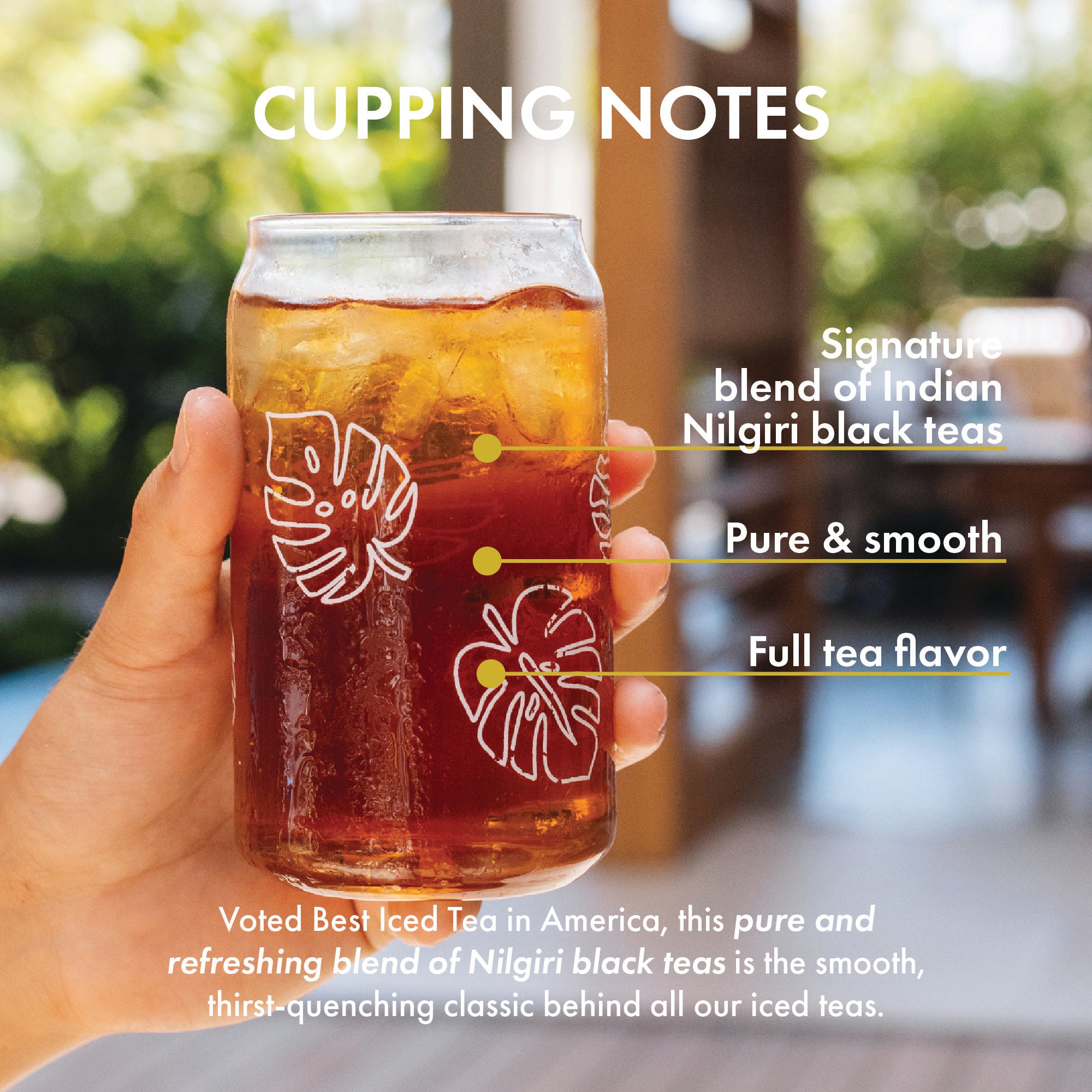Original Blend Nilgiri Iced Tea