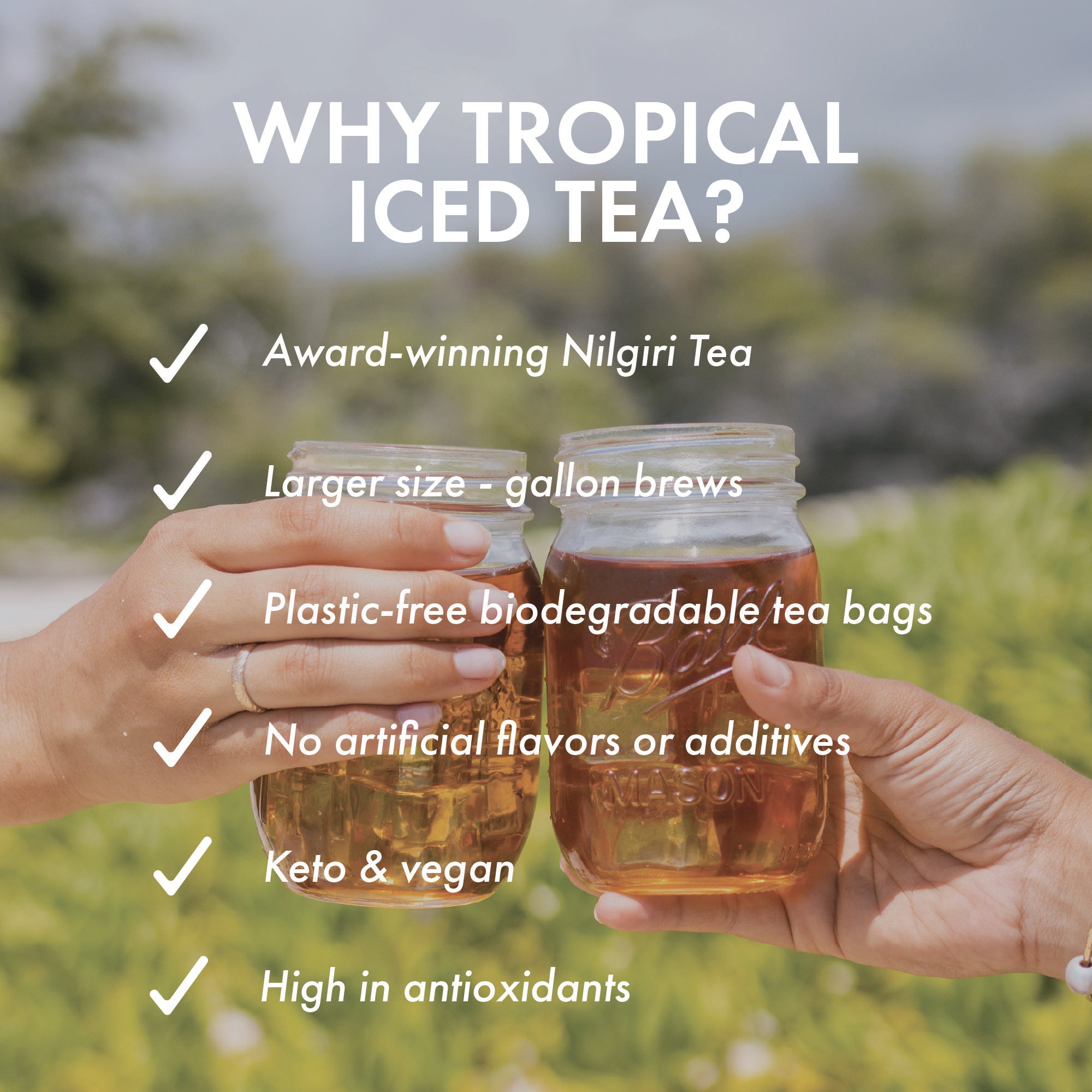 Original Blend Nilgiri Iced Tea