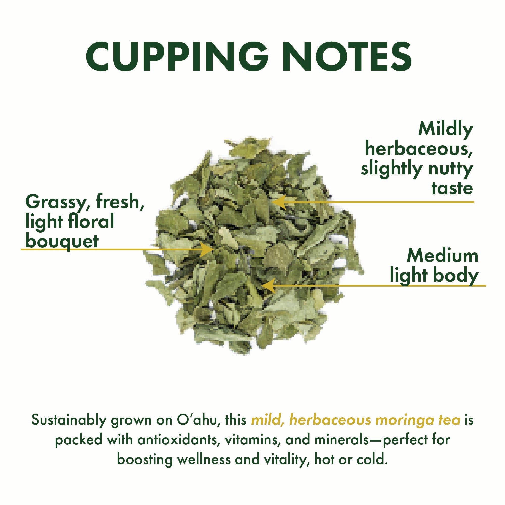 Pure Moringa