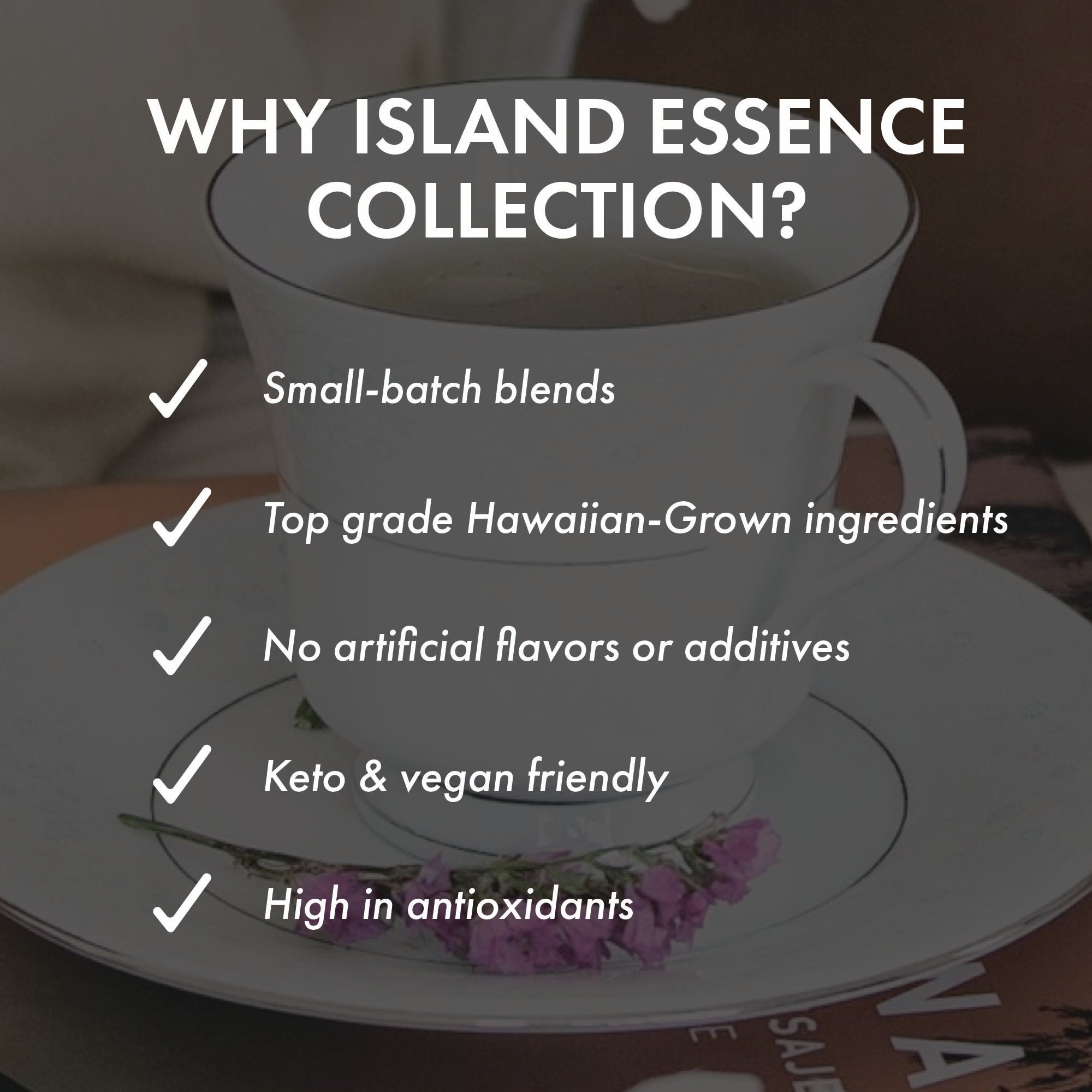 Cacao Colada