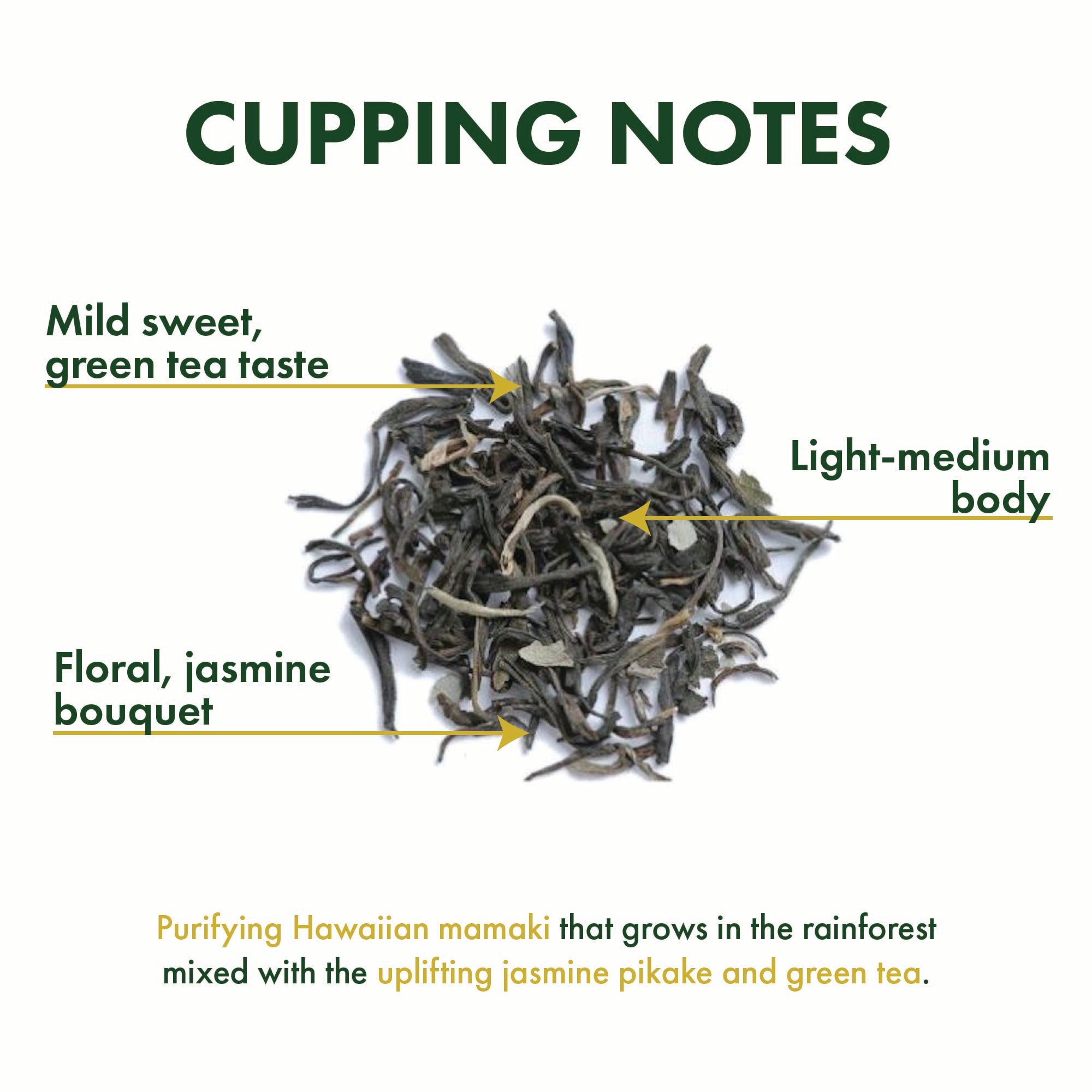 Jasmine Mamaki Green Tea – Tea Chest Hawaii