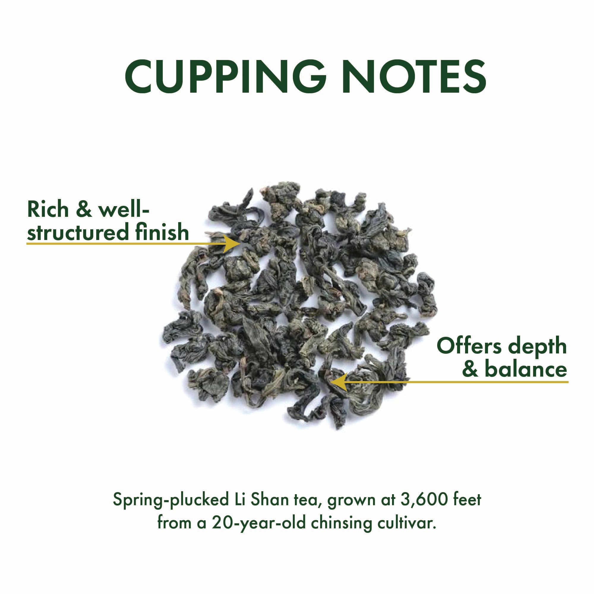 Jade Oolong