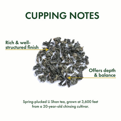 Jade Oolong